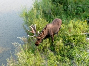 Grand Tetons National Park