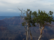 Grand Canyon National Park