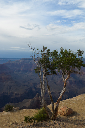 Grand Canyon National Park