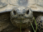 Mississippi Sandhill Crane National Wildlife Refuge