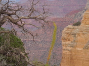 Grand Canyon National Park