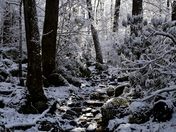 Great Smoky Mountains National Park