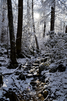 Great Smoky Mountains National Park