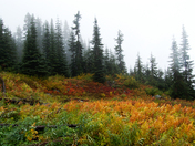North Cascades National Park
