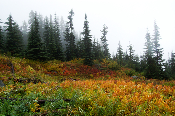 North Cascades National Park