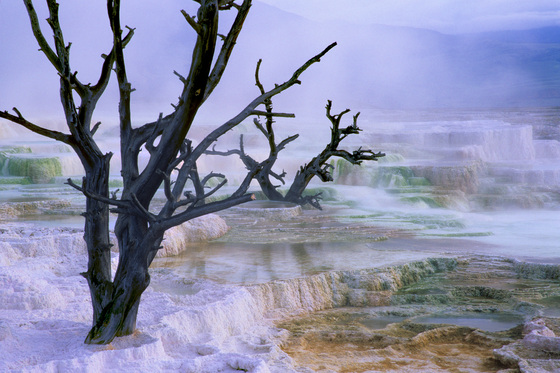 Yellowstone National Park