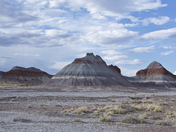 The Petrified Forest