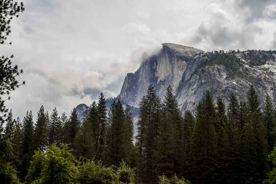 Yosemite National Park