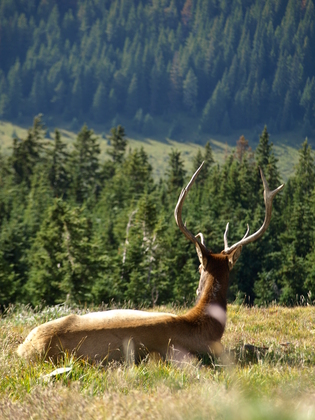 Rocky Mountain National park