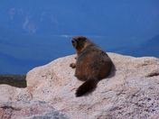 Mount Evans Colorado