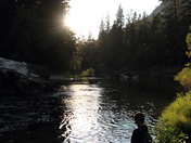 Yosemite National Park