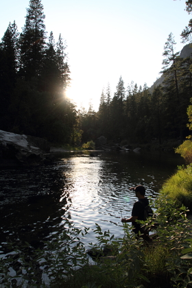 Yosemite National Park
