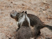 Yosemite National Park