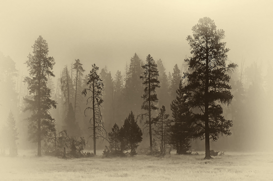 Yellowstone National Park
