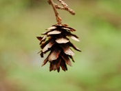 Glacier National Park
