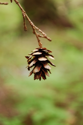 Glacier National Park