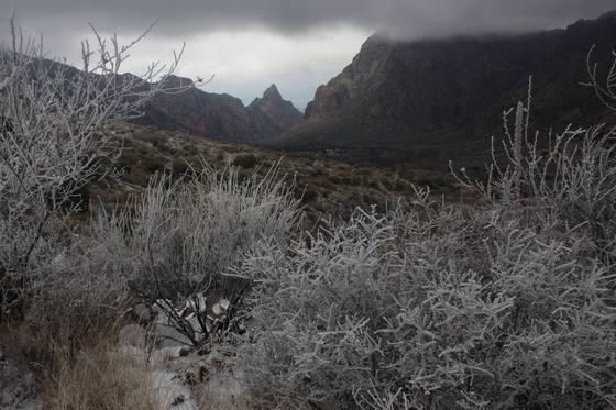 Big Bend National Park