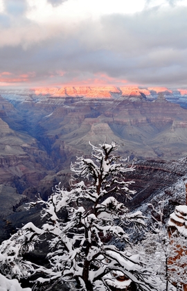 Grand Canyon