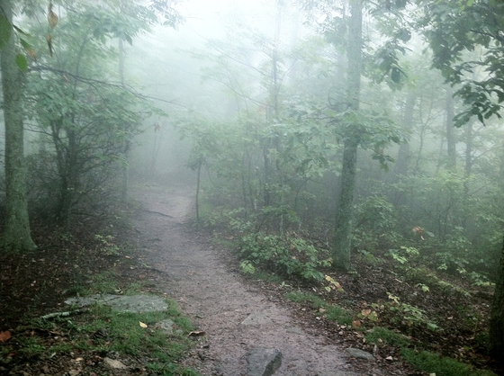 Shenandoah National Park