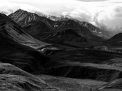 Denali National Park