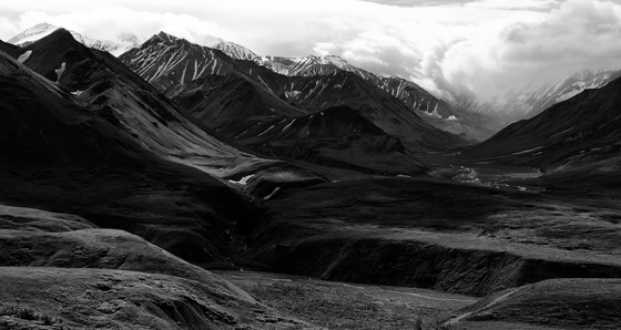 Denali National Park