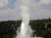 Yellowstone NP
