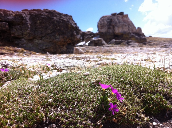Rocky Mountian National Park 