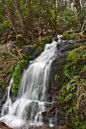 Great Smoky Mountains National Park