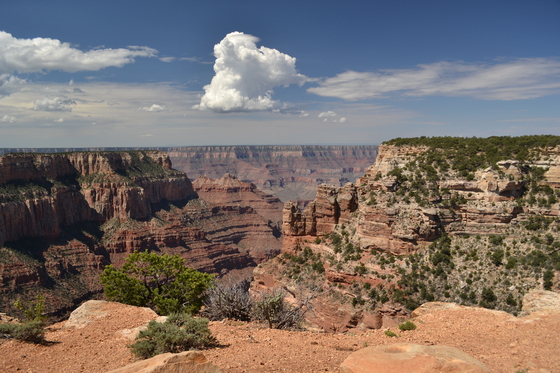 Grand Canyon North Rim