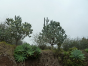 Haleakala National Park