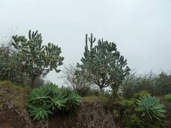 Haleakala National Park