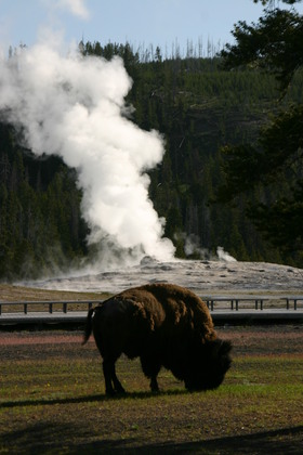 Yellowstone National Park