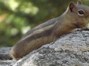 Rocky Mountain National Parl