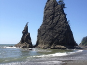 Olympic National Park