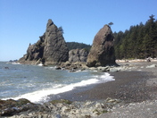 Olympic National Park