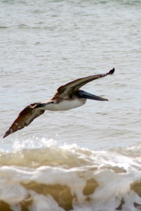 National Seashore