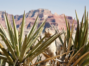 Grand Canyon National Park