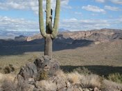 Tonto National Forest
