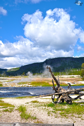 Yellowstone National Park