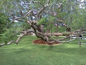 De Soto National Memorial in Florida