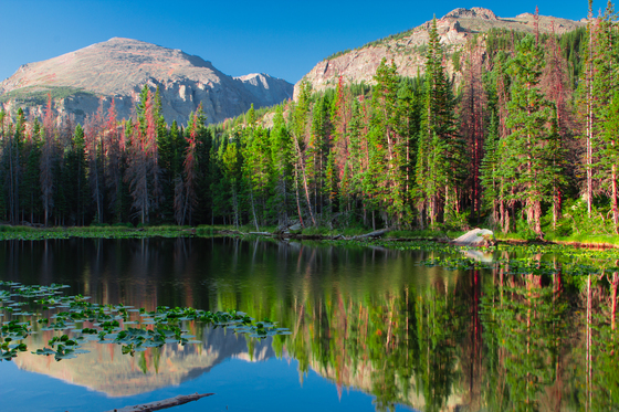Rocky Mountain National Park