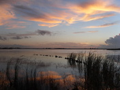 Back Bay Natiional Wildlife Refuge