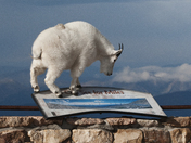 Arapaho & Roosevelt National Forests Pawnee National Grassland