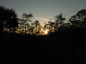 Big Cypress National Preserve