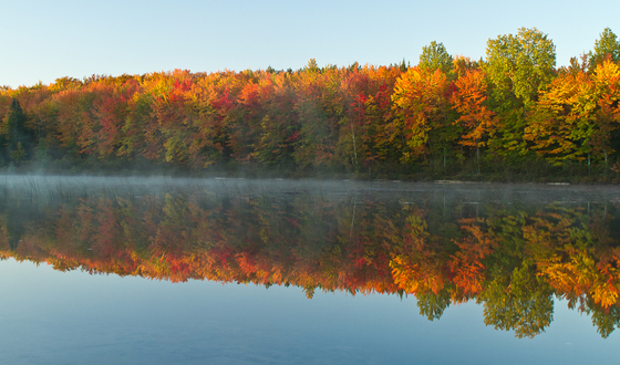 Hiawatha National Forest