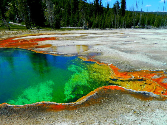 Yellowstone National Park