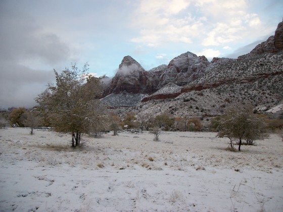 Zion National Park