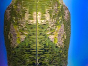 Bear Lake-Rocky Mountain National Park