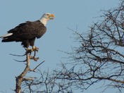 Prime Hook National Wildlife Refuge