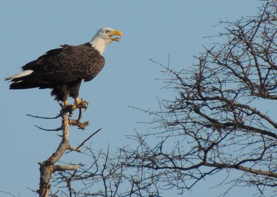 Prime Hook National Wildlife Refuge